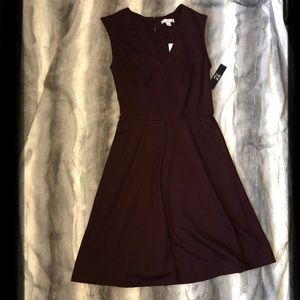 Plum Sleeveless Dress